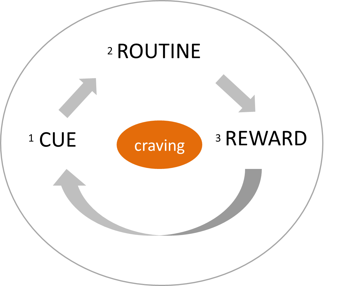 Power of Habit Charles Duhigg. Habit. Cue Routine reward. The Habbit loop книга. Processing within